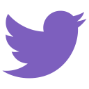 twitter social media icon